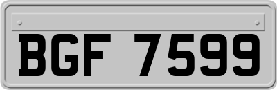 BGF7599