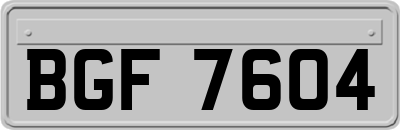 BGF7604