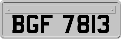 BGF7813