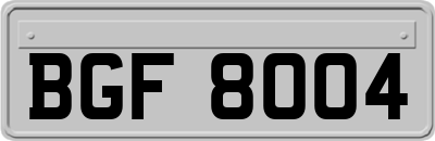 BGF8004