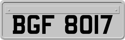 BGF8017
