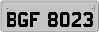 BGF8023