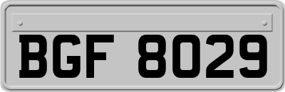 BGF8029