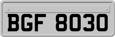 BGF8030