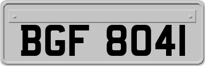 BGF8041