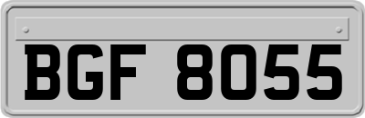 BGF8055