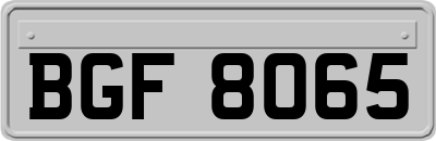 BGF8065