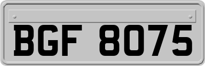 BGF8075