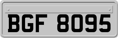 BGF8095