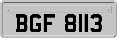 BGF8113