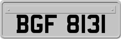 BGF8131