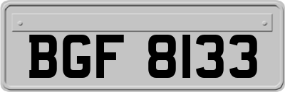 BGF8133
