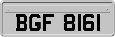 BGF8161