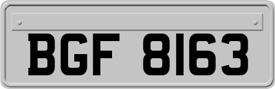 BGF8163
