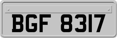 BGF8317
