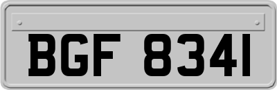 BGF8341
