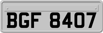 BGF8407