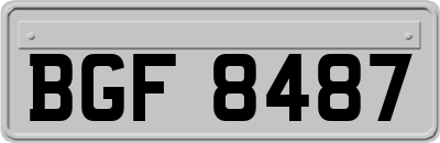 BGF8487