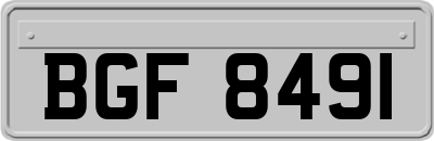 BGF8491