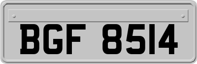 BGF8514