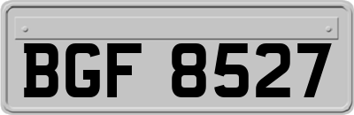 BGF8527