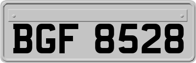 BGF8528