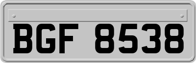 BGF8538