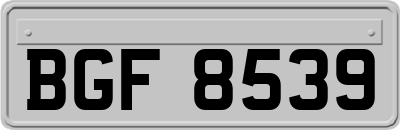 BGF8539
