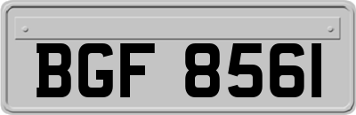 BGF8561