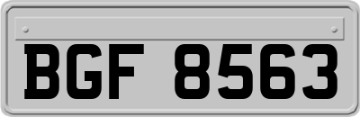 BGF8563