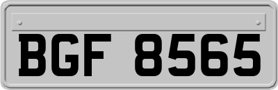 BGF8565