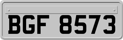 BGF8573