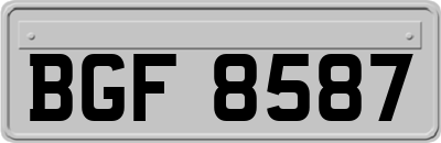 BGF8587