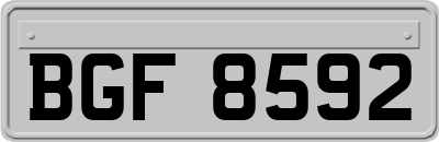 BGF8592