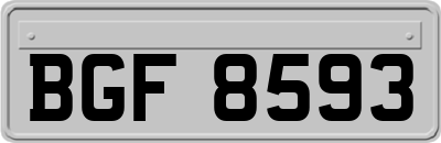 BGF8593