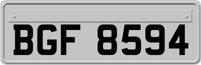 BGF8594