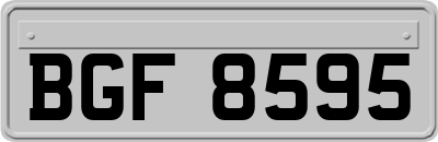 BGF8595
