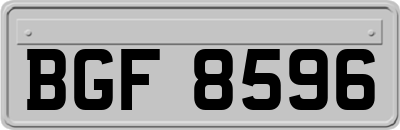 BGF8596