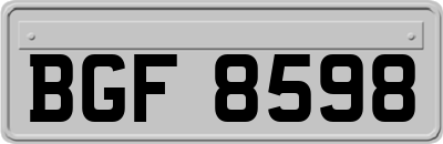 BGF8598