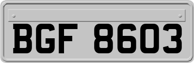 BGF8603