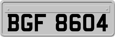 BGF8604