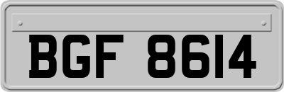 BGF8614