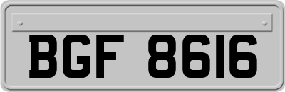 BGF8616