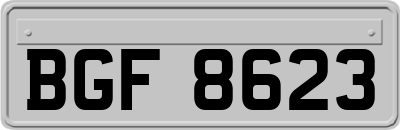 BGF8623