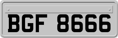 BGF8666