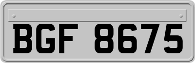 BGF8675