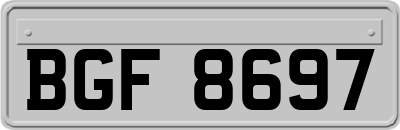 BGF8697