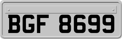 BGF8699