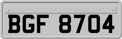 BGF8704