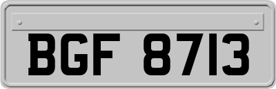 BGF8713